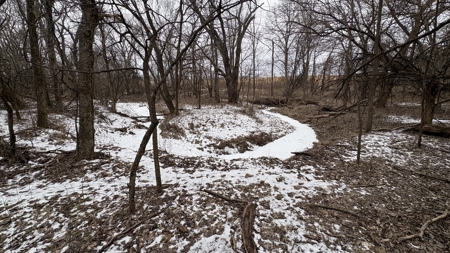 PLH Family Limited Partnership- TRACT 4 - image 18