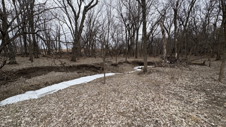 PLH Family Limited Partnership- TRACT 4 - image 13