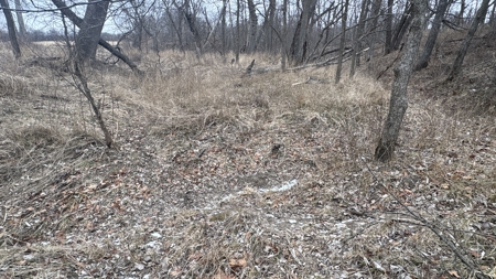 PLH Family Limited Partnership- TRACT 6 - image 37