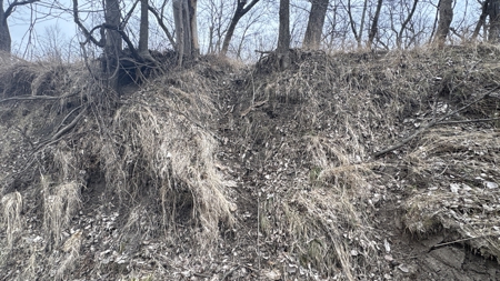 PLH Family Limited Partnership- TRACT 6 - image 34