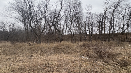 PLH Family Limited Partnership- TRACT 6 - image 24