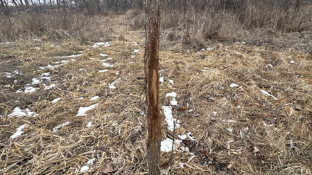 PLH Family Limited Partnership- TRACT 6 - image 40