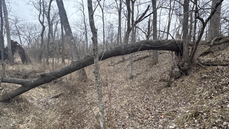 PLH Family Limited Partnership- TRACT 6 - image 39