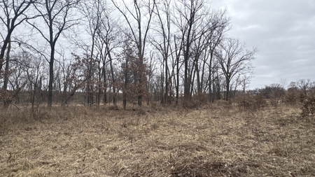 PLH Family Limited Partnership- TRACT 6 - image 31