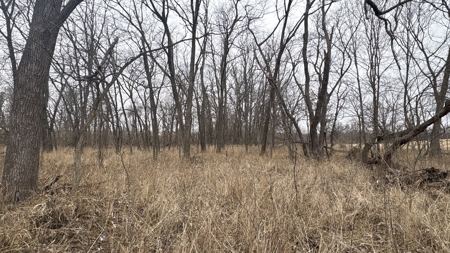 PLH Family Limited Partnership- TRACT 6 - image 30