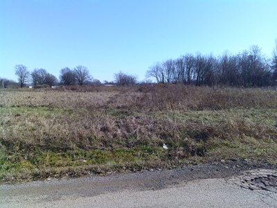 Land For Sale In Blytheville Arkansas - image 2