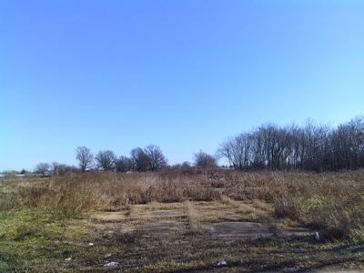 Land For Sale In Blytheville Arkansas - image 3