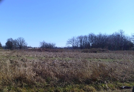 Land For Sale In Blytheville Arkansas - image 1