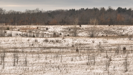 100-Acre Legacy Recreational Tract with Dual Road Frontage - image 25