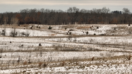 100-Acre Legacy Recreational Tract with Dual Road Frontage - image 23