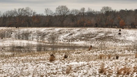100-Acre Legacy Recreational Tract with Dual Road Frontage - image 7