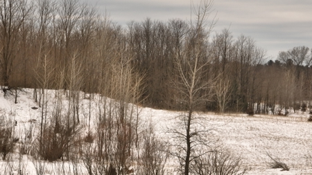 100-Acre Legacy Recreational Tract with Dual Road Frontage - image 12