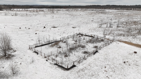 100-Acre Legacy Recreational Tract with Dual Road Frontage - image 16