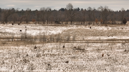 100-Acre Legacy Recreational Tract with Dual Road Frontage - image 24