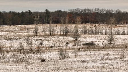 100-Acre Legacy Recreational Tract with Dual Road Frontage - image 15