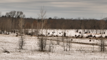 100-Acre Legacy Recreational Tract with Dual Road Frontage - image 13