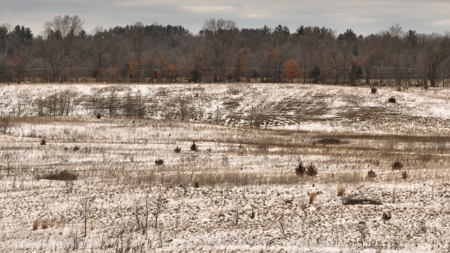 100-Acre Legacy Recreational Tract with Dual Road Frontage - image 26