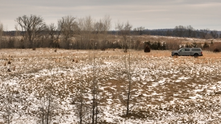 100-Acre Legacy Recreational Tract with Dual Road Frontage - image 6