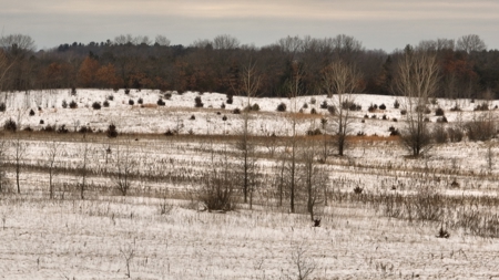 100-Acre Legacy Recreational Tract with Dual Road Frontage - image 14