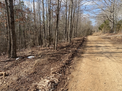 Newton County Land For Sale Near Buffalo National River - image 4