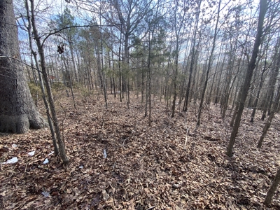 Newton County Land For Sale Near Buffalo National River - image 1