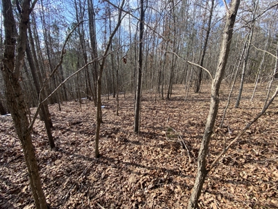 Newton County Land For Sale Near Buffalo National River - image 3