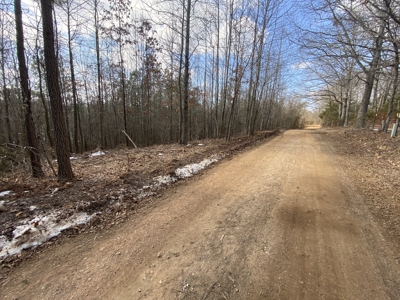 Newton County Land For Sale Near Buffalo National River - image 6