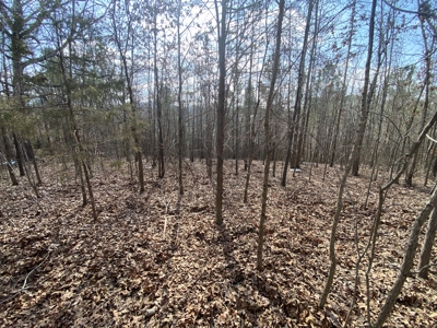 Newton County Land For Sale Near Buffalo National River - image 2