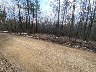 Newton County Land For Sale Near Buffalo National River - image 5
