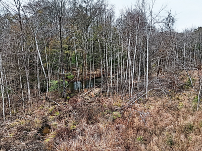 114.62+- Acres / *IRRIGATED *INCOME PRODUCING *LEE COUNTY, GA - image 2