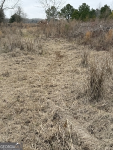 114.62+- Acres / *IRRIGATED *INCOME PRODUCING *LEE COUNTY, GA - image 23