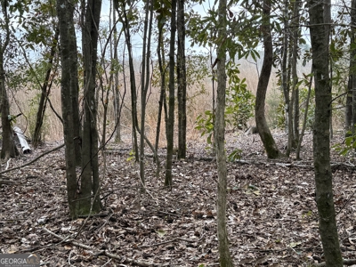 114.62+- Acres / *IRRIGATED *INCOME PRODUCING *LEE COUNTY, GA - image 44