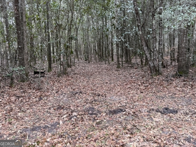 114.62+- Acres / *IRRIGATED *INCOME PRODUCING *LEE COUNTY, GA - image 35