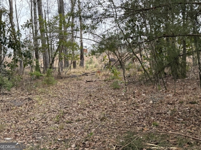 114.62+- Acres / *IRRIGATED *INCOME PRODUCING *LEE COUNTY, GA - image 49