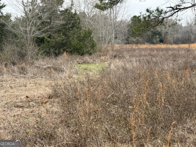 114.62+- Acres / *IRRIGATED *INCOME PRODUCING *LEE COUNTY, GA - image 28