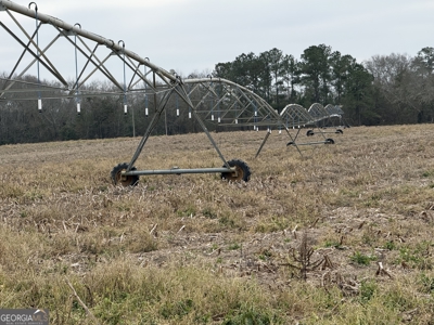 114.62+- Acres / *IRRIGATED *INCOME PRODUCING *LEE COUNTY, GA - image 50