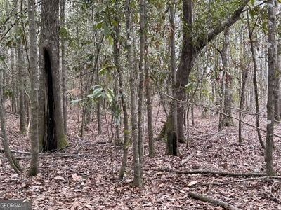 114.62+- Acres / *IRRIGATED *INCOME PRODUCING *LEE COUNTY, GA - image 45