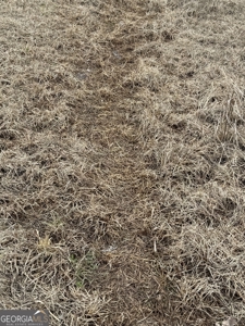 114.62+- Acres / *IRRIGATED *INCOME PRODUCING *LEE COUNTY, GA - image 21