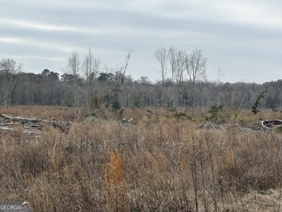 114.62+- Acres / *IRRIGATED *INCOME PRODUCING *LEE COUNTY, GA - image 26