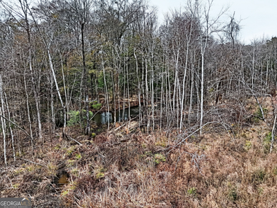 114.62+- Acres / *IRRIGATED *INCOME PRODUCING *LEE COUNTY, GA - image 29