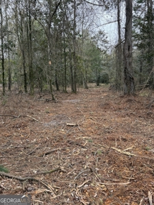 114.62+- Acres / *IRRIGATED *INCOME PRODUCING *LEE COUNTY, GA - image 32