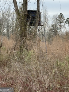 114.62+- Acres / *IRRIGATED *INCOME PRODUCING *LEE COUNTY, GA - image 24