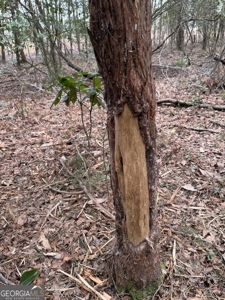 114.62+- Acres / *IRRIGATED *INCOME PRODUCING *LEE COUNTY, GA - image 33