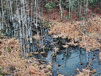 114.62+- Acres / *IRRIGATED *INCOME PRODUCING *LEE COUNTY, GA - image 6