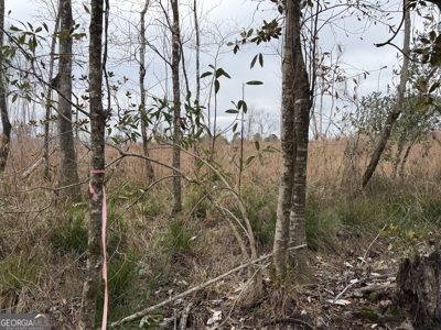 114.62+- Acres / *IRRIGATED *INCOME PRODUCING *LEE COUNTY, GA - image 17