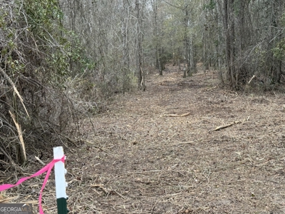 114.62+- Acres / *IRRIGATED *INCOME PRODUCING *LEE COUNTY, GA - image 30