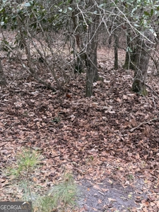 114.62+- Acres / *IRRIGATED *INCOME PRODUCING *LEE COUNTY, GA - image 48