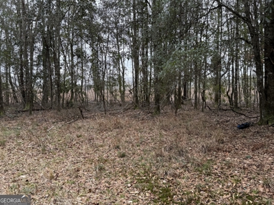 114.62+- Acres / *IRRIGATED *INCOME PRODUCING *LEE COUNTY, GA - image 38