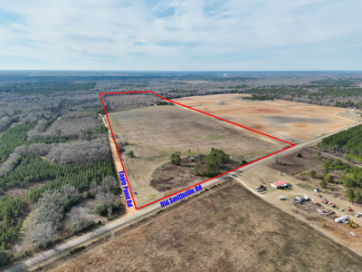 114.62+- Acres / *IRRIGATED *INCOME PRODUCING *LEE COUNTY, GA - image 1