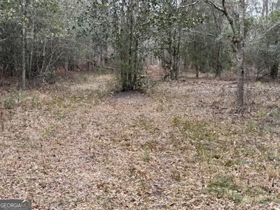 114.62+- Acres / *IRRIGATED *INCOME PRODUCING *LEE COUNTY, GA - image 47